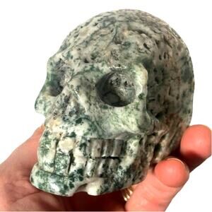Natural Tree Agate Crystal Skull Head Carving Druzy Healing Stone Mineral